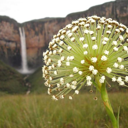 Pousada Tabuleiro Eco Conceição do Mato Dentro エクステリア 写真